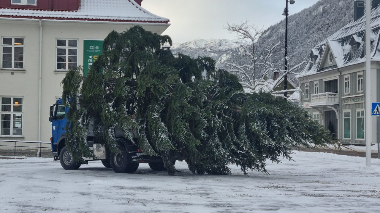 20241120_114828 20241120_114828