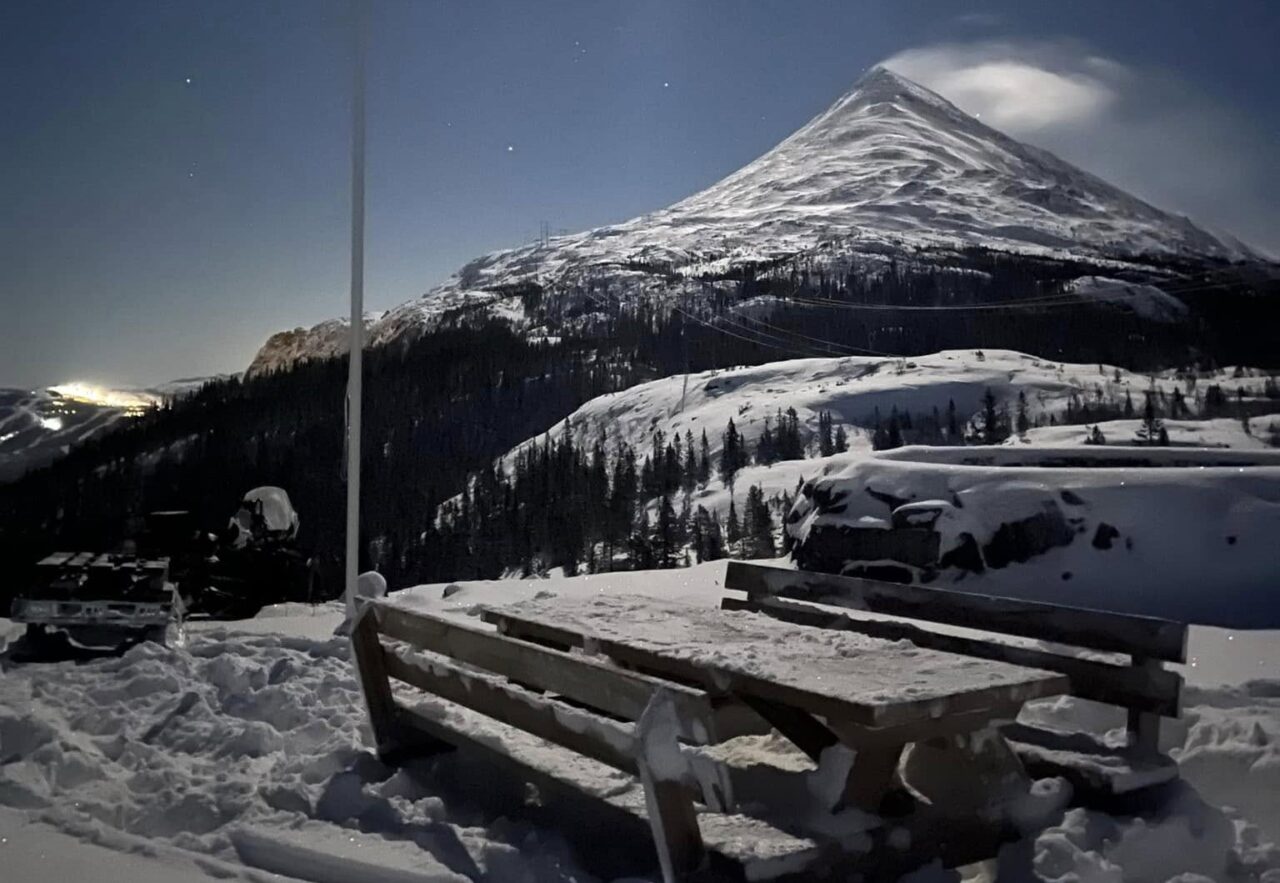 kanonstillingen kanonstillingen