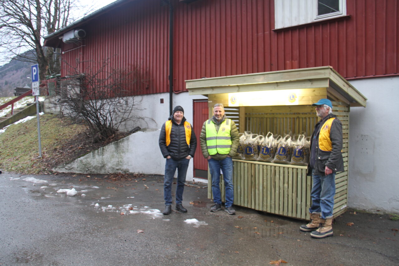 Lions-sandsekker-1280x853.jfif